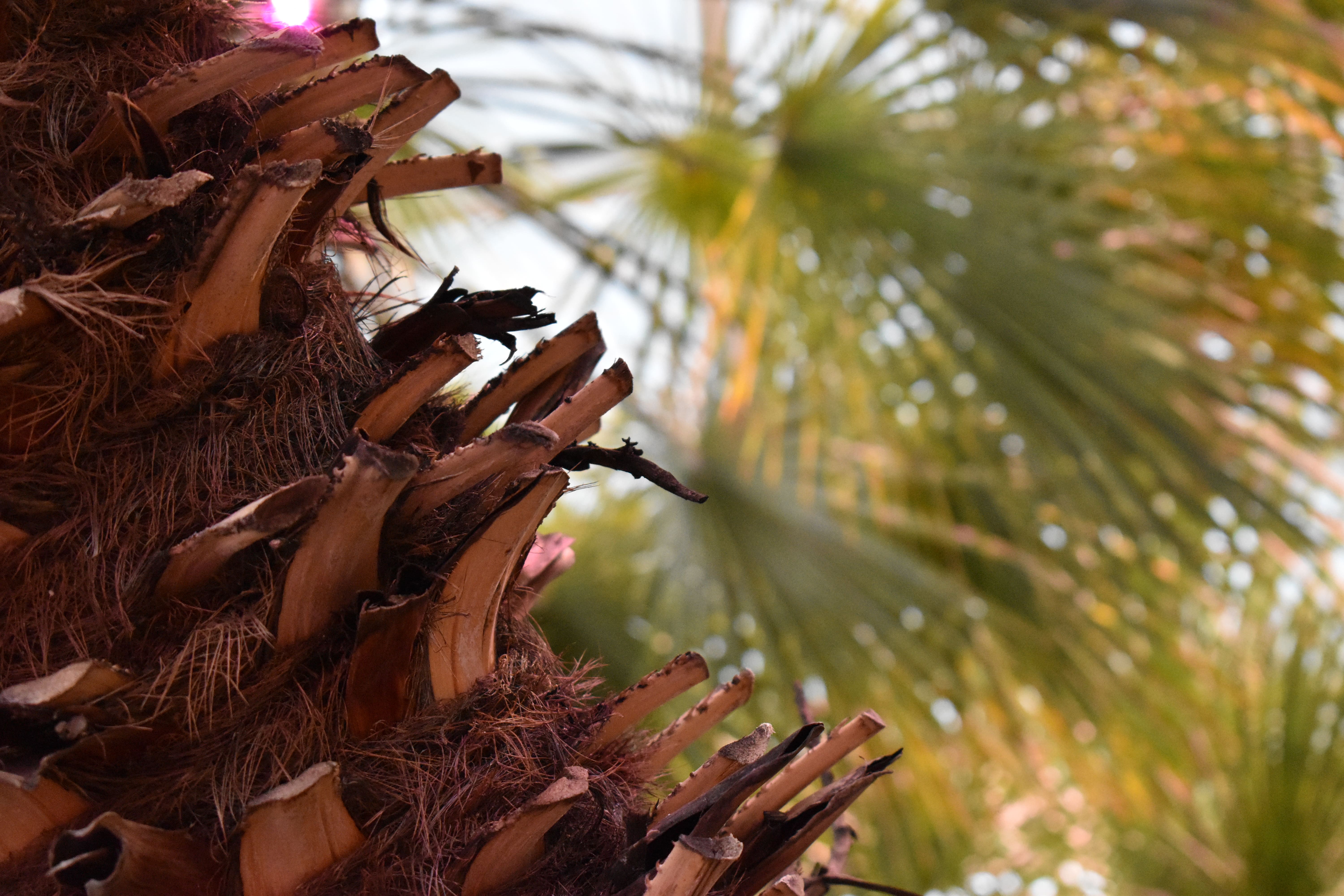 Two Sides To Every View 