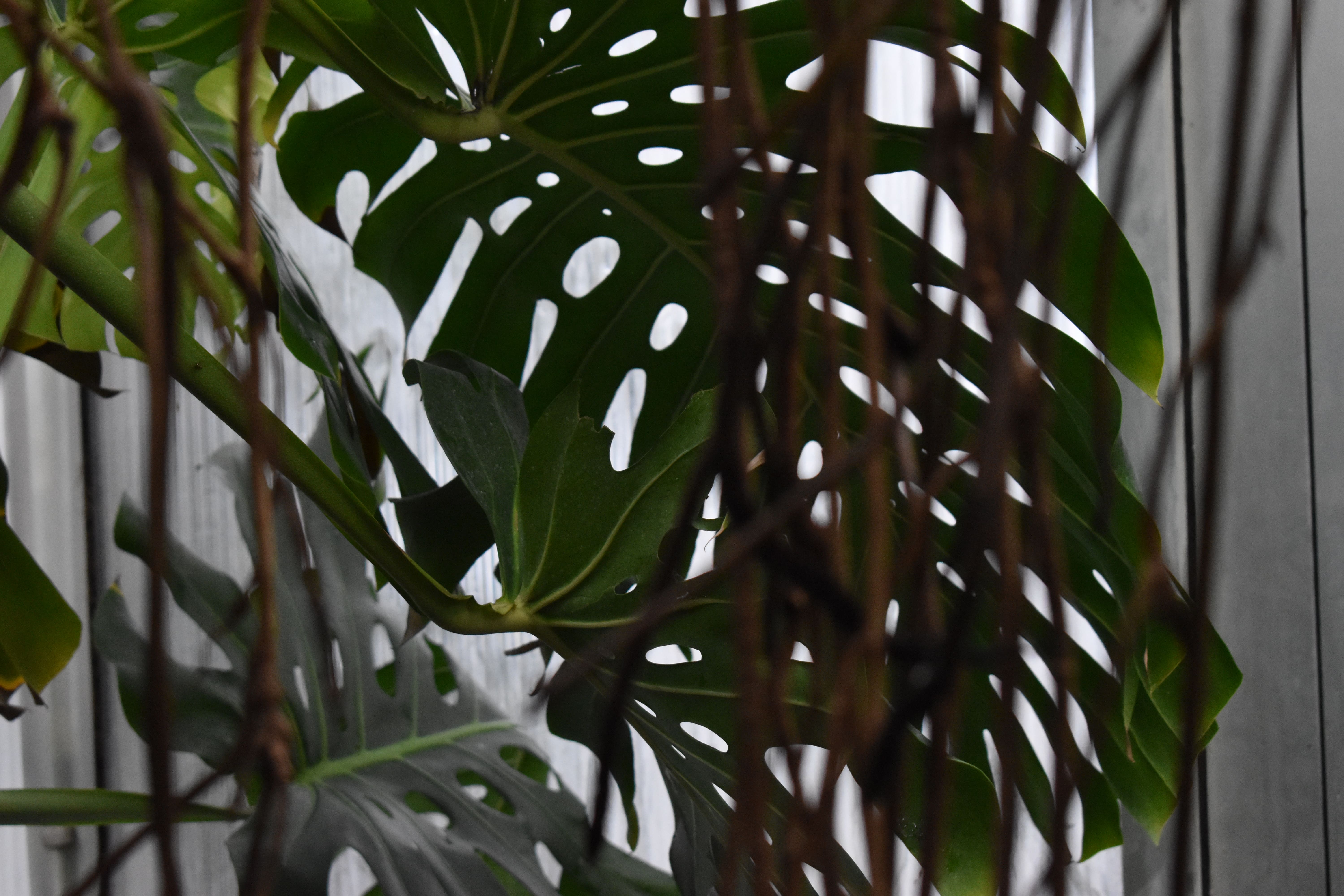 Two Sides To Every View 