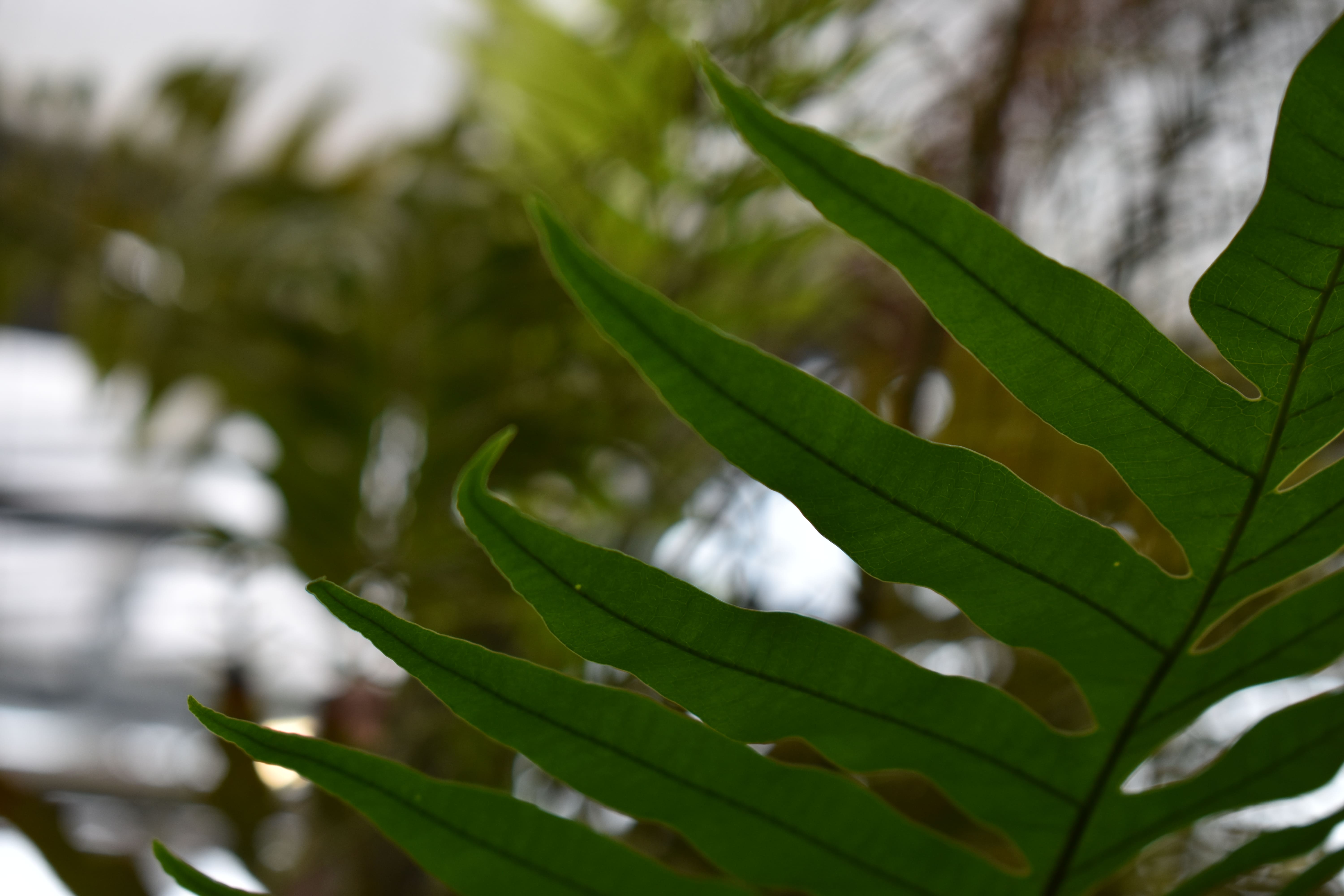 Two Sides To Every View 